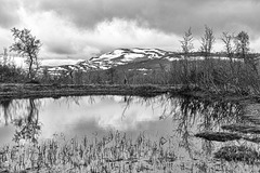Stekenjokkvägen (Vildmarksvägen)
