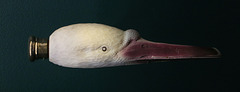 Flacon en forme de tête de cygne - Musée du Parfum à Paris  .
