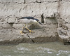 marcher sur le mur / walking on the wall