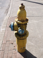 Oh we go Mathews hydrant