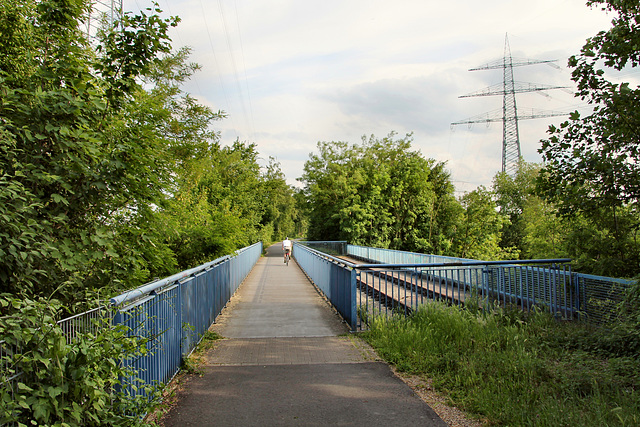 Erzbahnbrücke 12 (Wanne-Eickel) / 21.05.2018