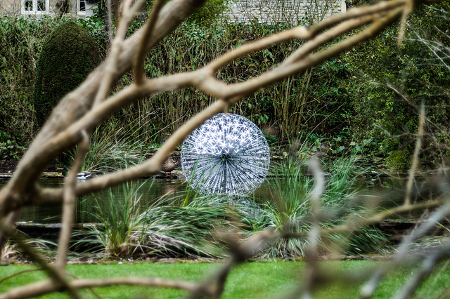 Wet Afternoon in March-Allium in the Dye Pool