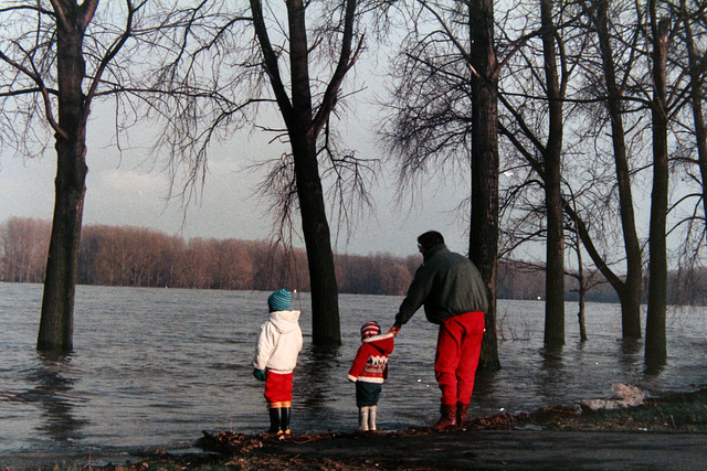29-1-1986 Hochwasser am Rhein
