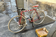 Florence 2023 – Bicycle