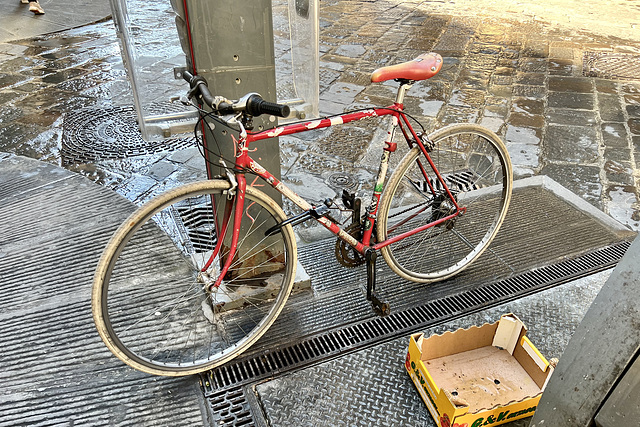 Florence 2023 – Bicycle