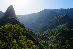 Die grünen Berge Madeiras