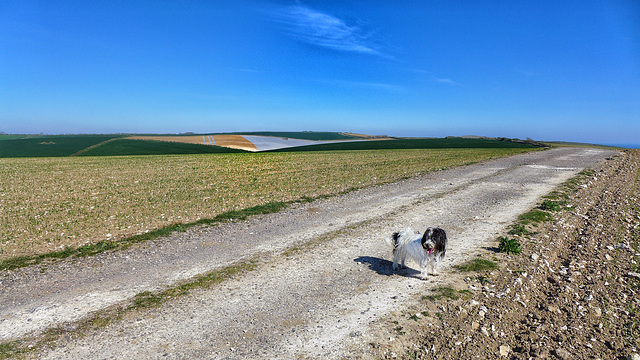 radish 15:4:2020 12