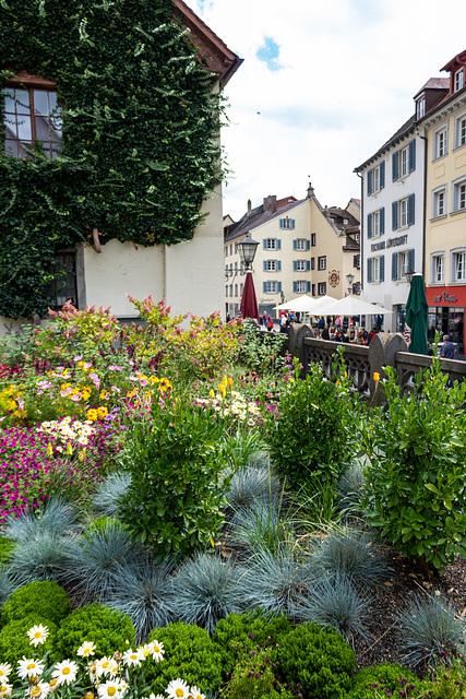 Tettnang-Überlingen-0233