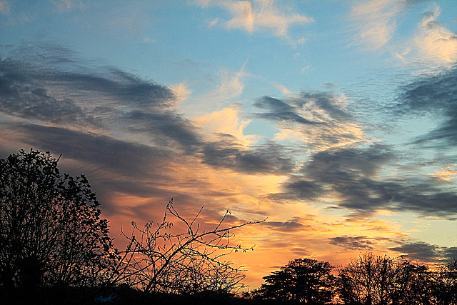 Lueurs de novembre