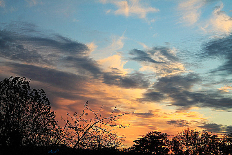 Lueurs de novembre