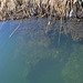 Peru, Uros' Islands, Underwater Construction of Floating Island