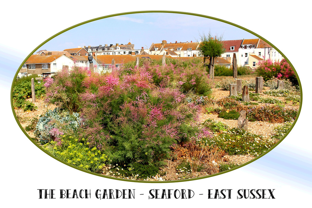 The Beach Garden - Seaford  - East Sussex - 24.7.2018