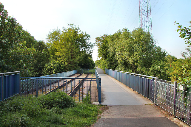 Erzbahntrasse, Brücke Nr. 13 (Wanne-Eickel) / 21.05.2018