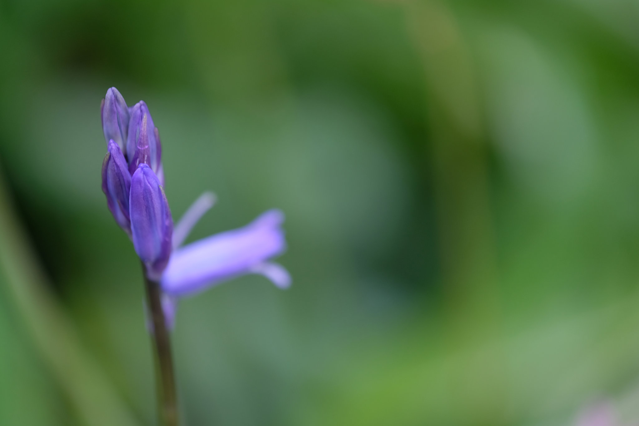 DSCF5921
