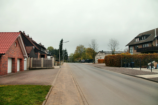 Zur Panhütt (Waltrop) / 17.11.2019