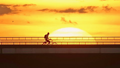 Über die Rheinkniebrücke