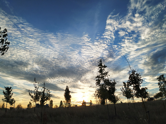 Nubes de la tarde, 24