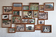 Travels to Africa Travels to Africa
