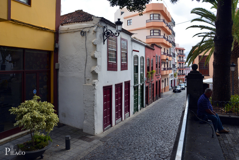 Santa Cruz de La Palma ¦ pilago(12)