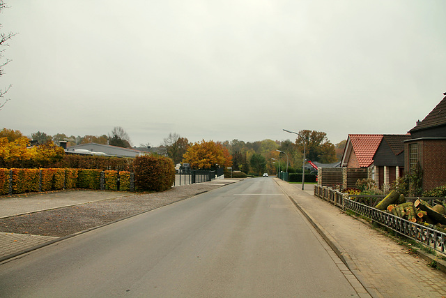 Zur Panhütt (Waltrop) / 17.11.2019