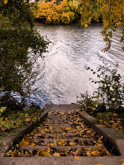 fall by the river