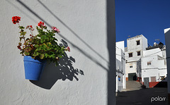 Urbanismo en Conil (Cádiz)