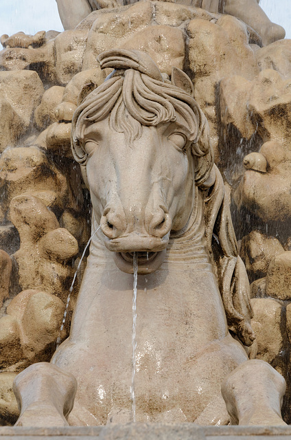 La fontaine aux chevaux