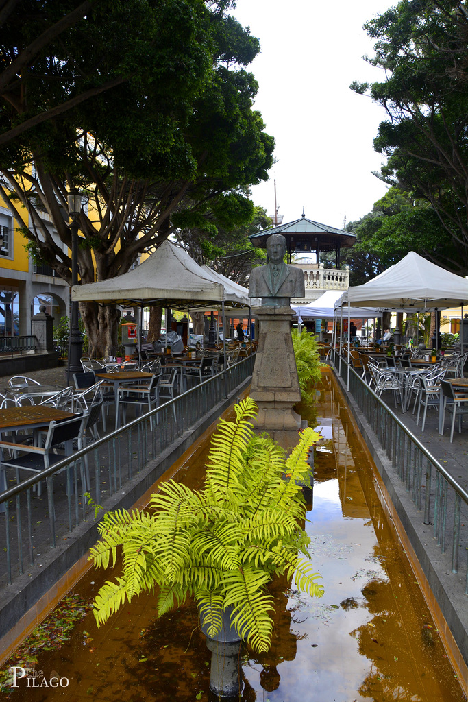 Santa Cruz de La Palma ¦ pilago(15)