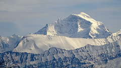 Jungfrau in Weiss