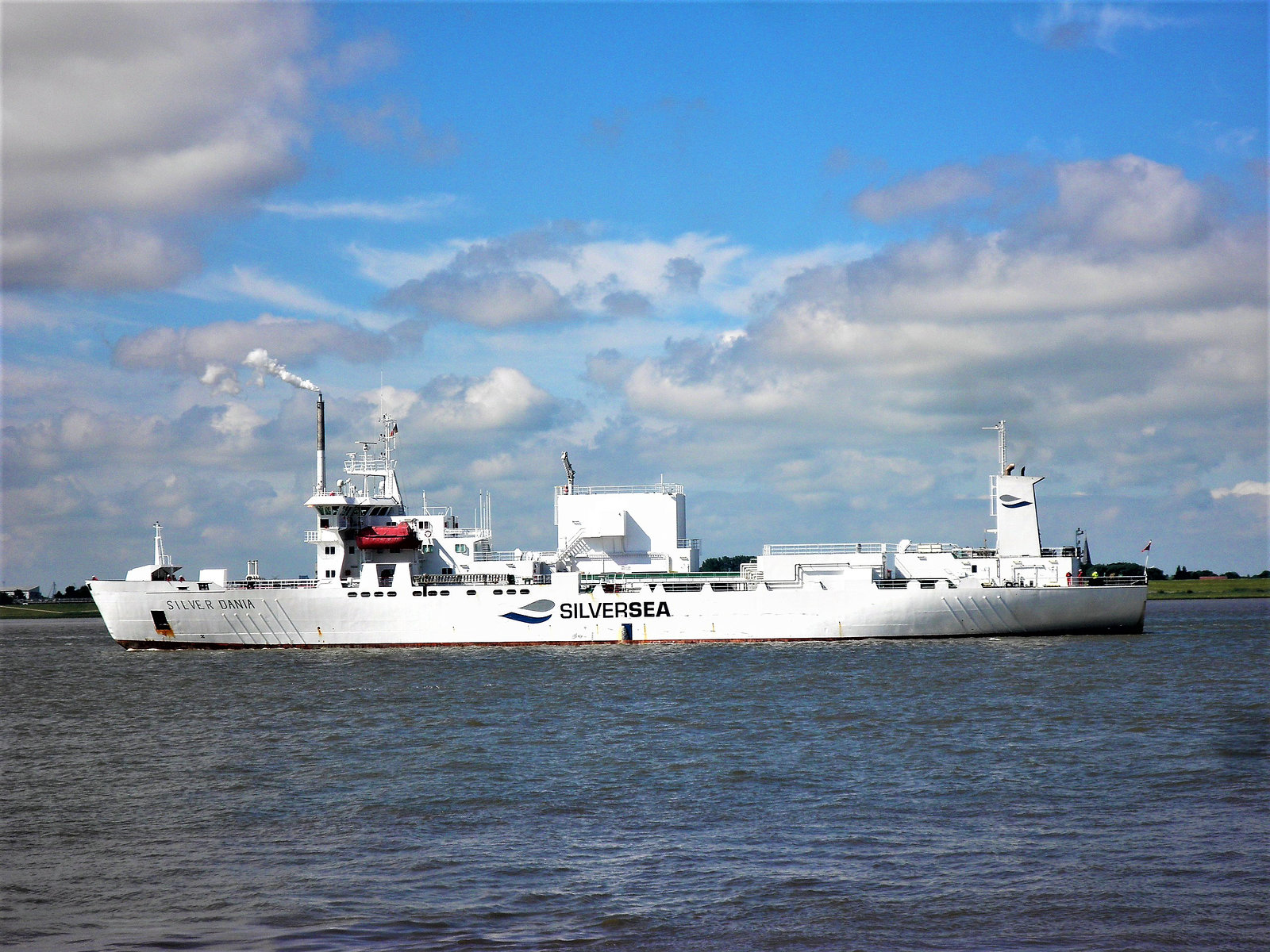 SILVER DANIA