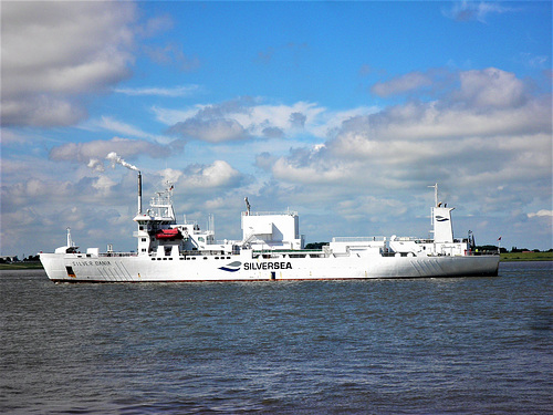 SILVER DANIA