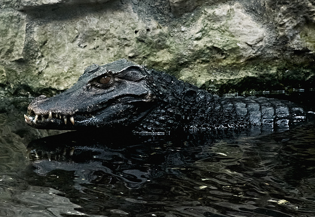 Tierpark Straubing