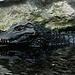Tierpark Straubing