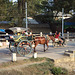 transport in Myanmar