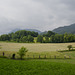 Garfagnana