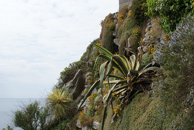 St. Michael's Mount Gardens