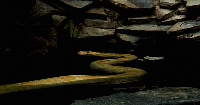 Tierpark Straubing