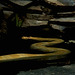 Tierpark Straubing