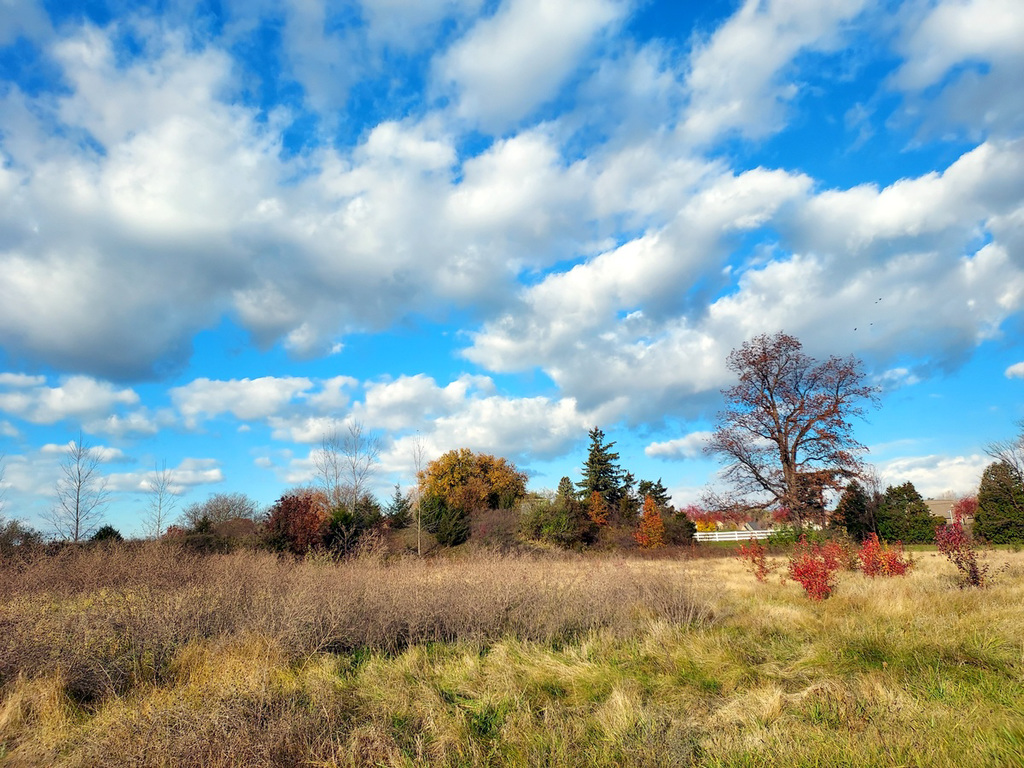 November colors.
