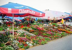 On the market in Banja Luka