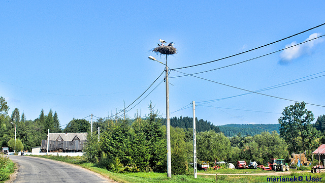 Somewhere in the eastern Carpathians, Poland