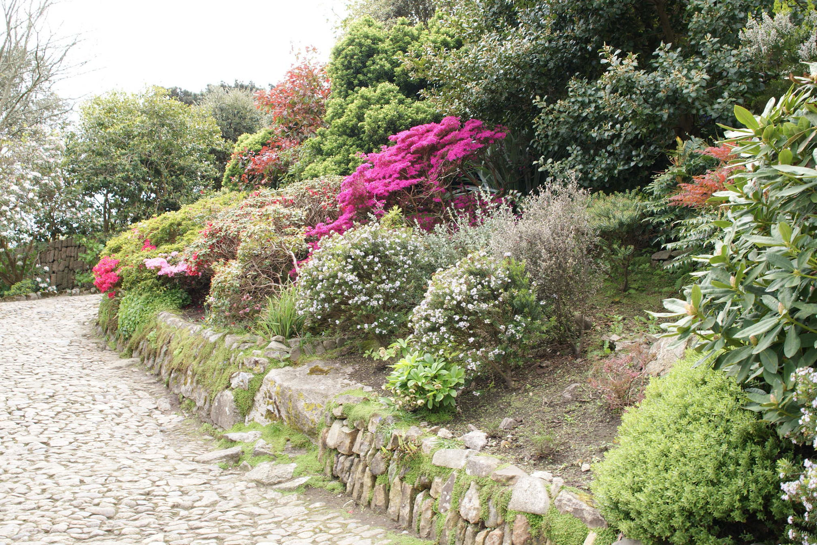 St. Michael's Mount Gardens