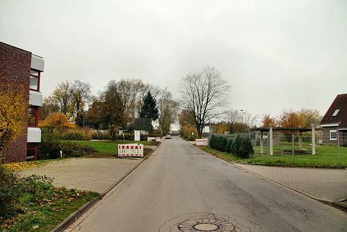 Zur Panhütt (Waltrop) / 17.11.2019