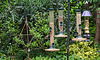 20200611 8355CPw [D~LIP] Vogelraststätte, Bad Salzuflen