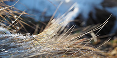2022-02-13 10'21'06 E-M5 0552