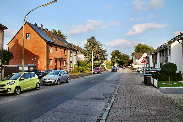 Hochkampstraße (Gelsenkirchen-Bismarck) / 30.09.2023