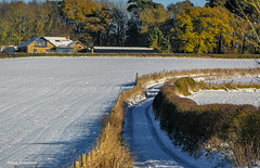 Keepers Cottage - Moor Lane