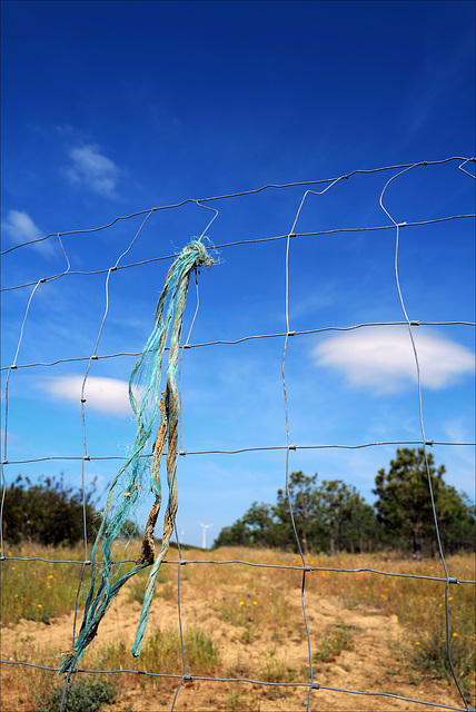 Penedos, HFF is now open even with rope, welcome to post !
