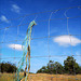 Penedos, HFF is now open even with rope, welcome to post !
