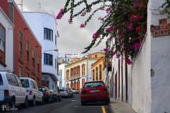 Santa Cruz de La Palma ¦ pilago(9)